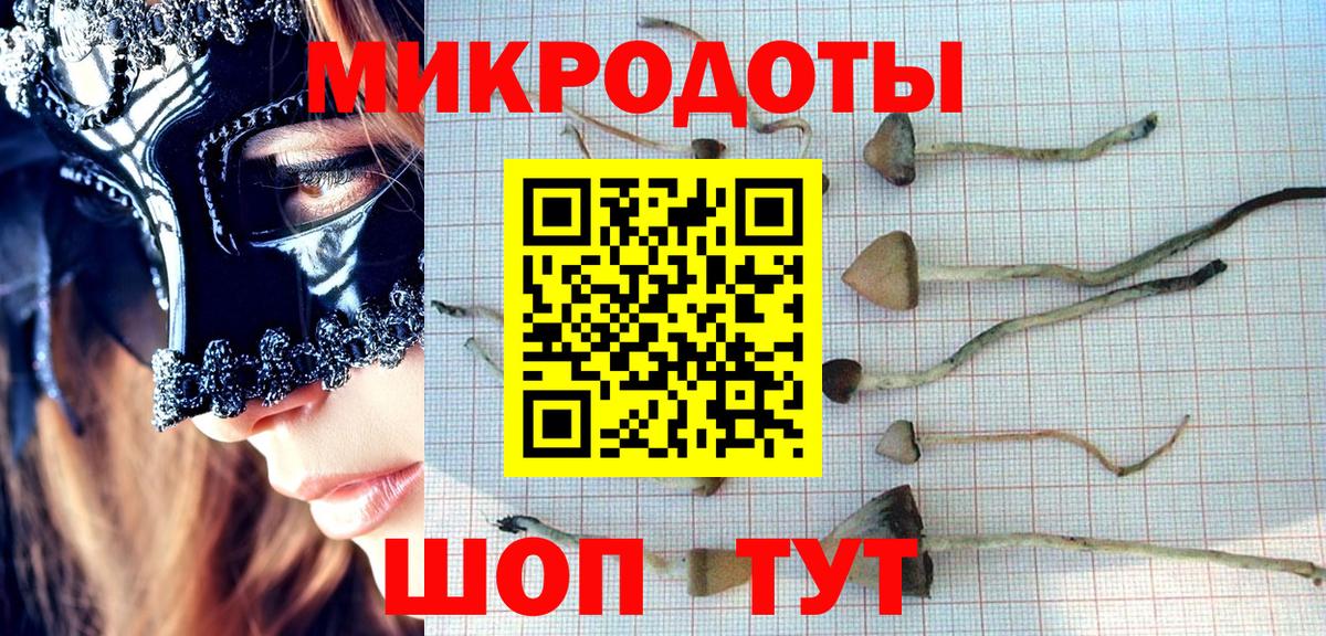 Галлюциногенные грибы прущие грибы Ишимбай