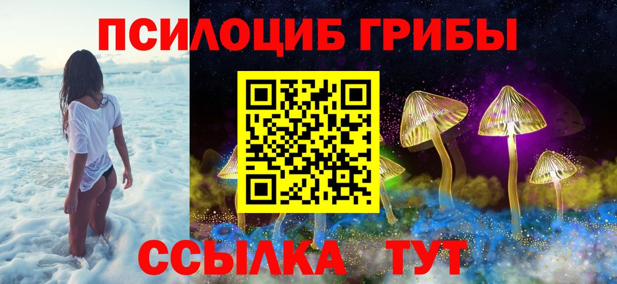 где найти наркотики  Вход с VPN  Ишимбай  Псилоцибиновые грибы GOLDEN TEACHER 